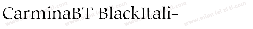 CarminaBT BlackItali字体转换